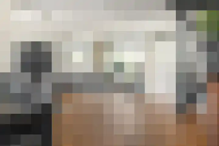 Tichelwurk 2 Franeker thumbnail 8