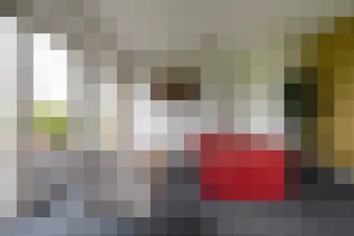 Tichelwurk 2 Stiens thumbnail 18