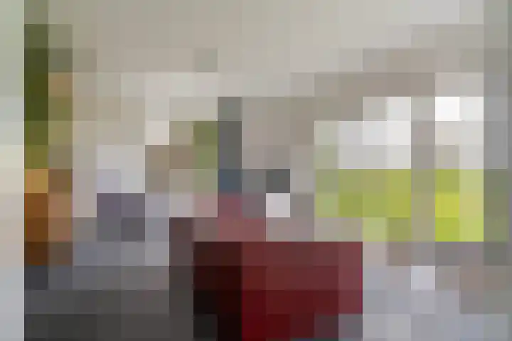 Tichelwurk 2 Stiens thumbnail 19