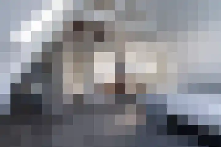Tichelwurk 2 Stiens thumbnail 31