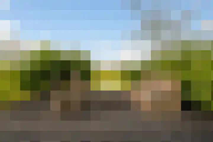 Tichelwurk 2 Stiens thumbnail 36