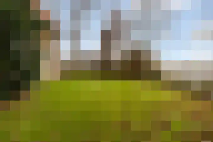 Tichelwurk 2 Stiens thumbnail 38