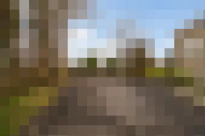 Tichelwurk 2 Stiens thumbnail 40