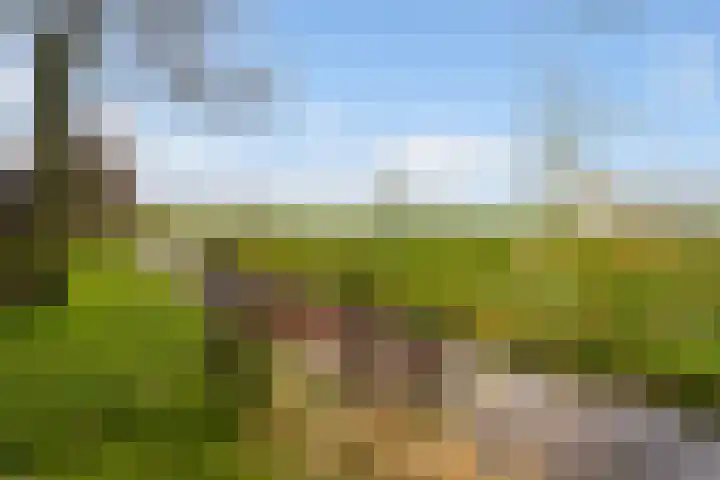 Tichelwurk 2 Stiens thumbnail 44
