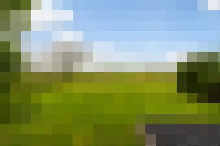 Tichelwurk 2 Stiens thumbnail 46