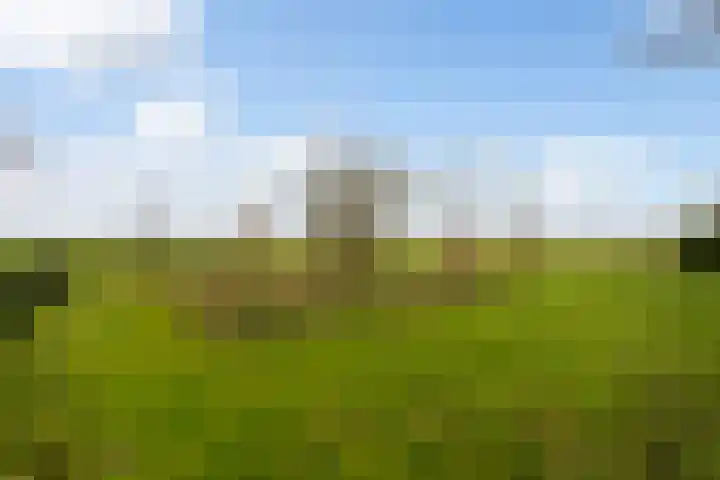 Tichelwurk 2 Stiens thumbnail 47