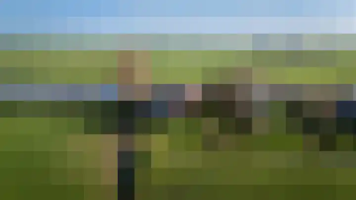 Tichelwurk 2 Stiens thumbnail 51