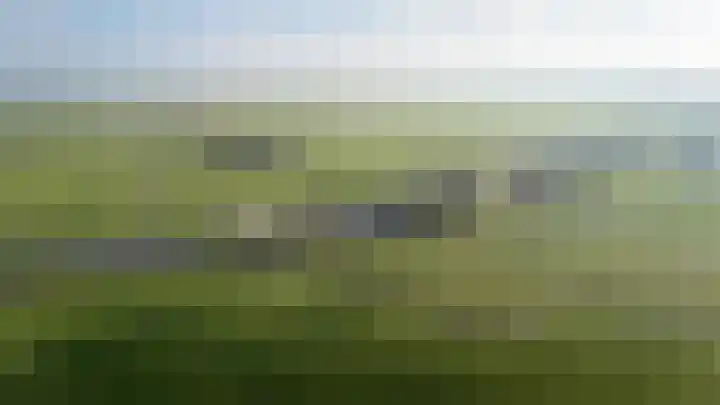 Tichelwurk 2 Stiens thumbnail 54