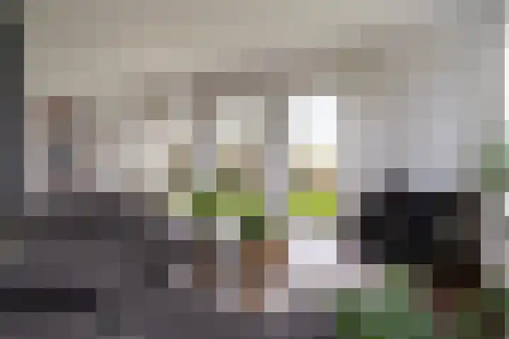 Tichelwurk 2 Stiens thumbnail 8