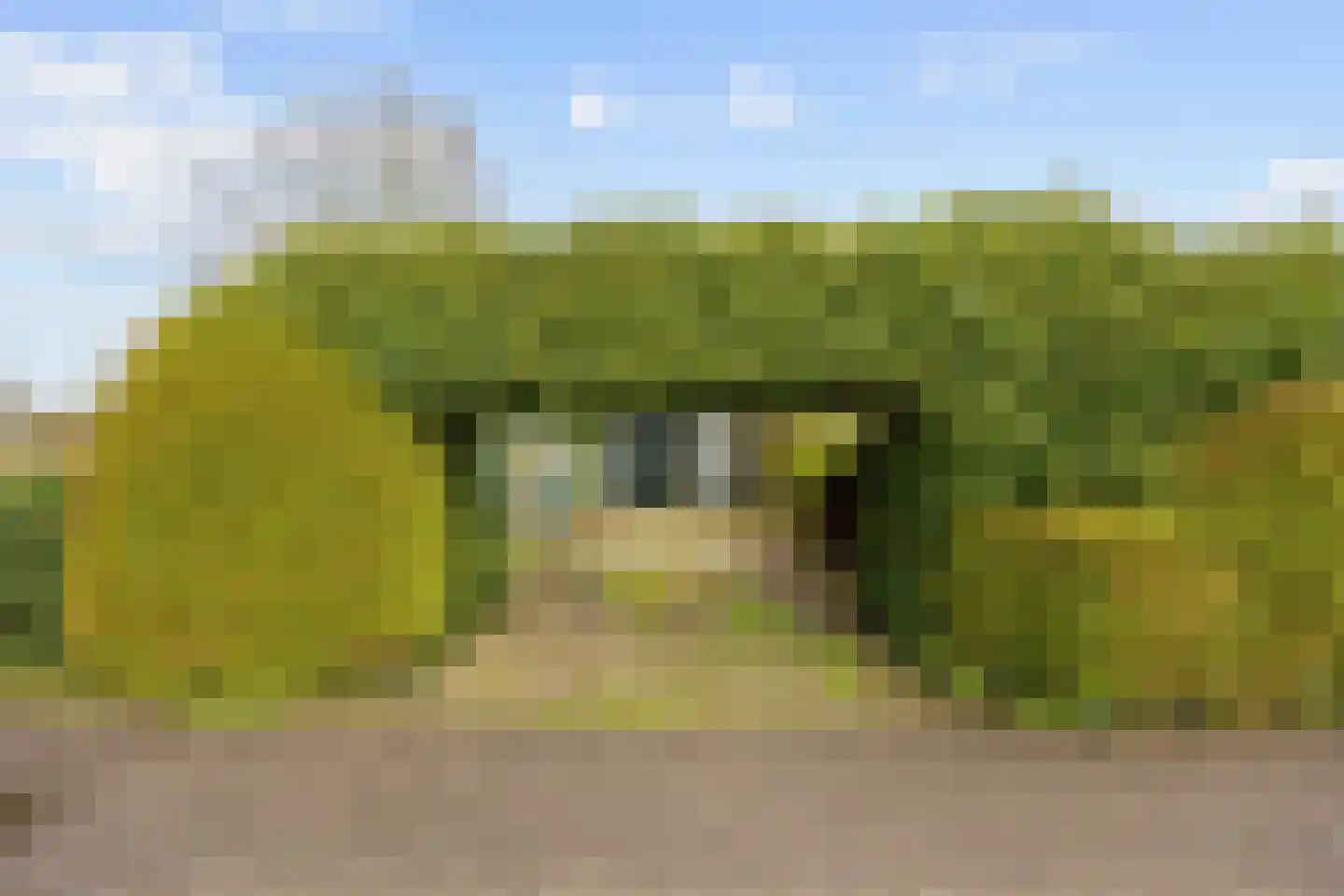 Tichelwurk 9 Dronryp thumbnail 20