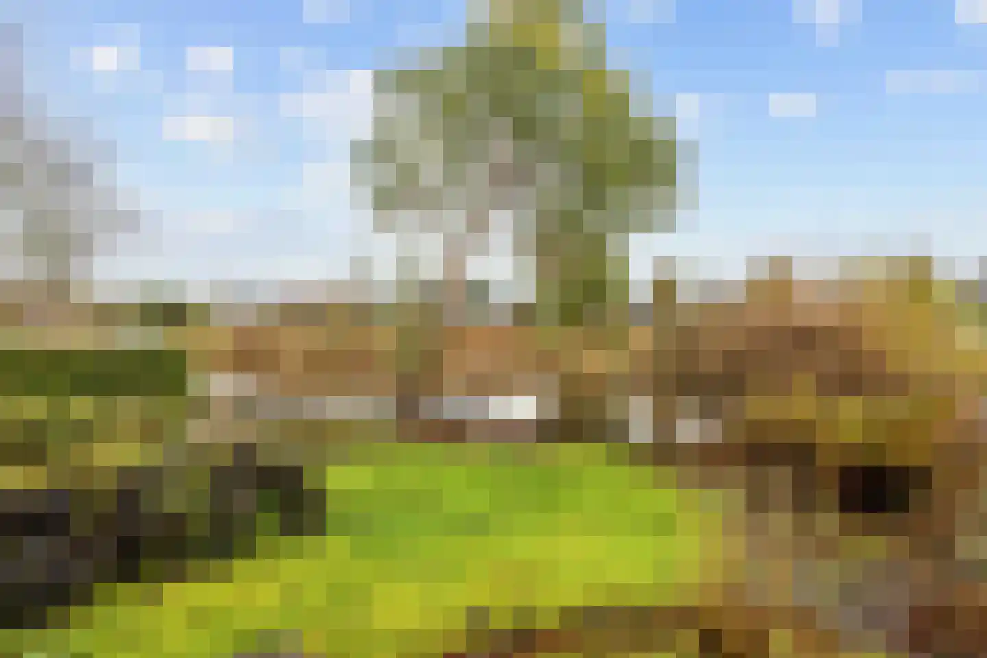 Tichelwurk 9 Dronryp thumbnail 66