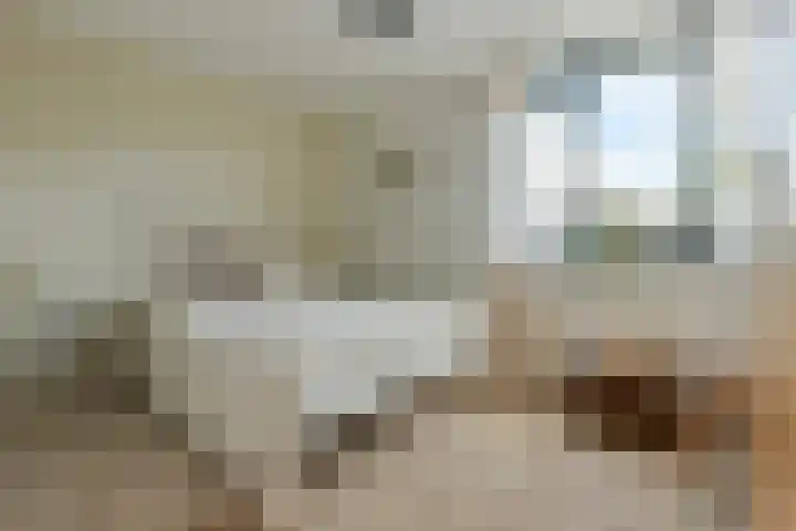 Tidorestraat 199 Amsterdam thumbnail 10
