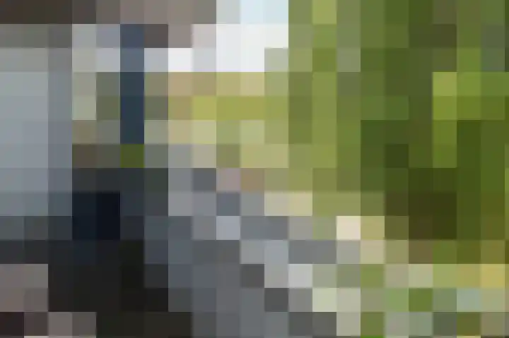 Tidorestraat 199 Amsterdam thumbnail 13