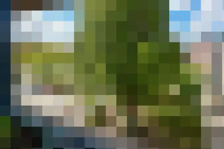 Tidorestraat 199 Amsterdam thumbnail 14