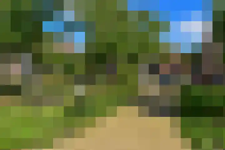Tidorestraat 199 Amsterdam thumbnail 22