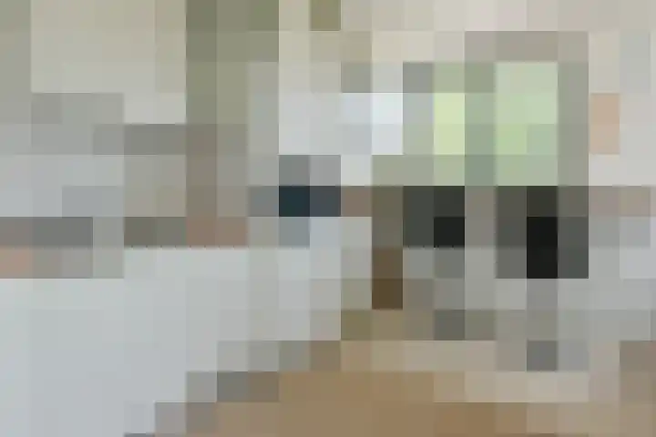 Tidorestraat 199 Amsterdam thumbnail 7