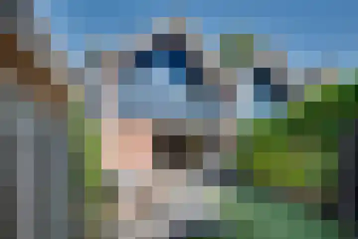 Tielekeshoeven 79 Rosmalen thumbnail 31