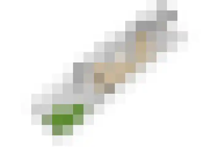 Tielekeshoeven 79 Rosmalen thumbnail 36