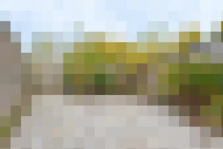 Tiendlanden 36 Assen thumbnail 25