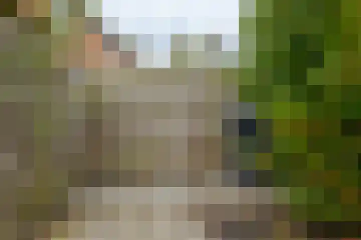 Tiendlanden 36 Assen thumbnail 27