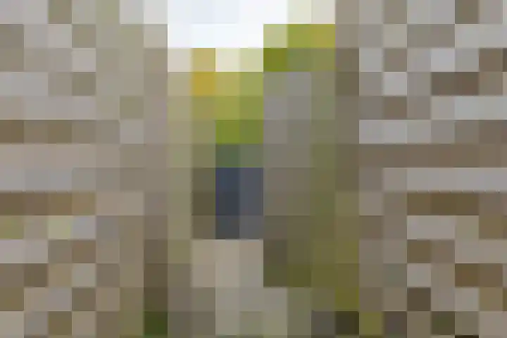 Tiendlanden 36 Assen thumbnail 28