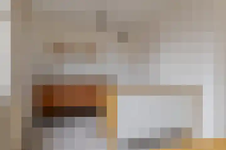 Tiendlanden 36 Assen thumbnail 30