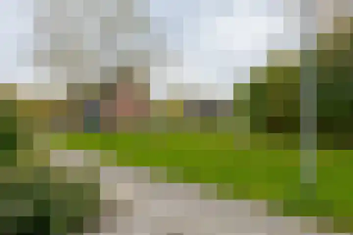 Tiendlanden 36 Assen thumbnail 6