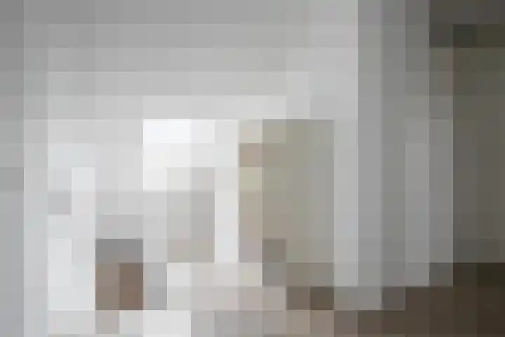 Tiendschuur 14 B Susteren thumbnail 12