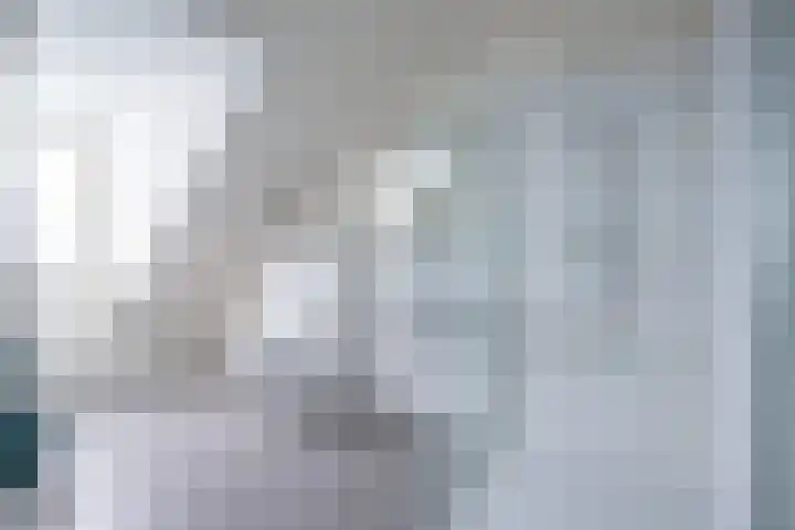 Tiendschuur 14 B Susteren thumbnail 17
