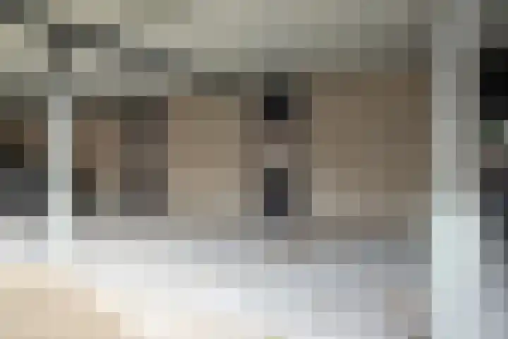 Tiendschuur 14 B Susteren thumbnail 19