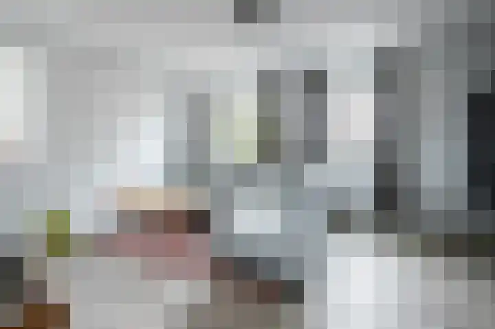 Tiendschuur 14 B Susteren foto 3