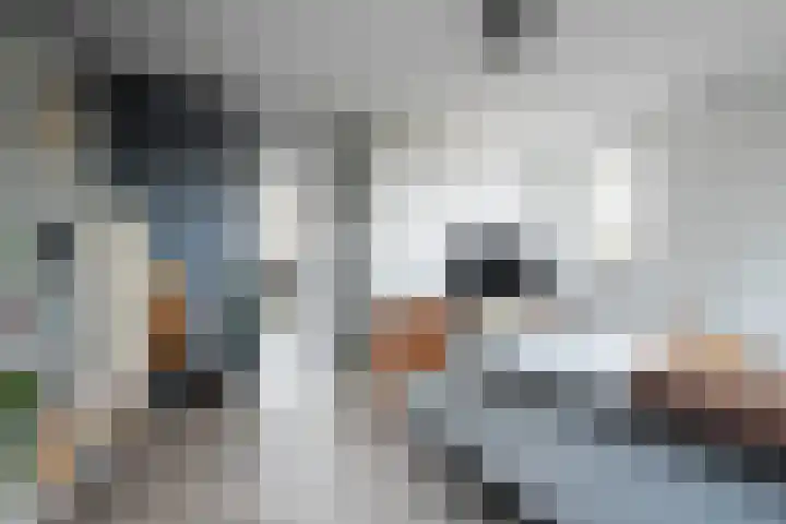 Tiendschuur 14 B Susteren thumbnail 5