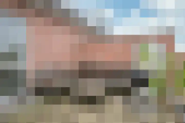 Tiendschuur 14 B Susteren thumbnail 9