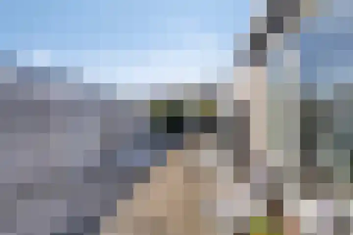 Tiendstraat 8 Klimmen thumbnail 18