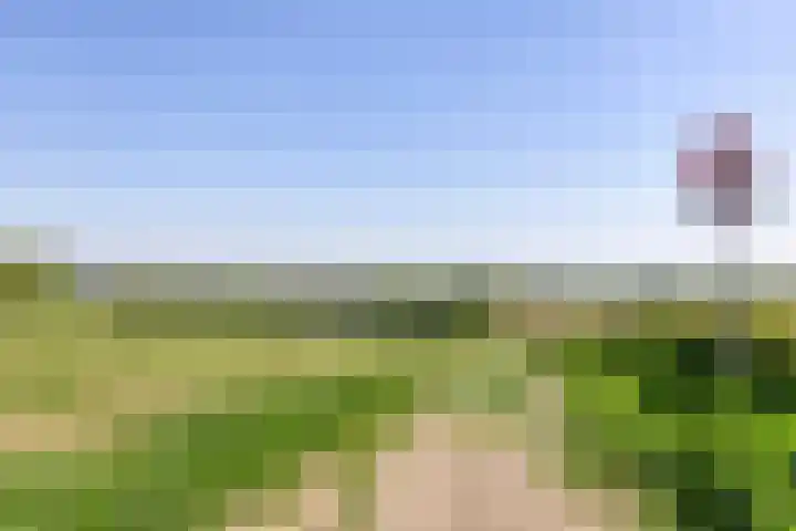 Tiendstraat 8 Klimmen thumbnail 35