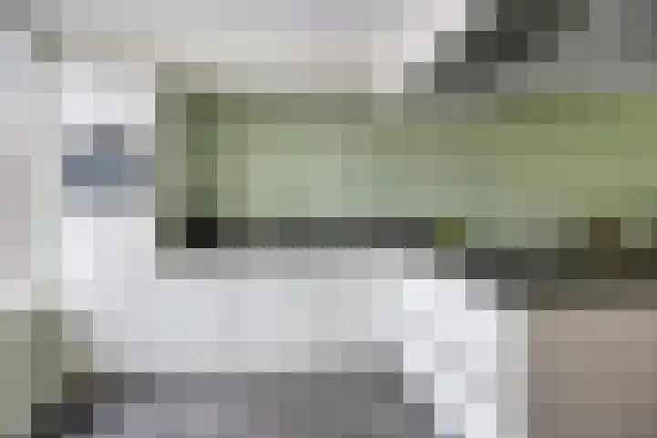 Tiendvrij 16 Sint Anthonis thumbnail 10