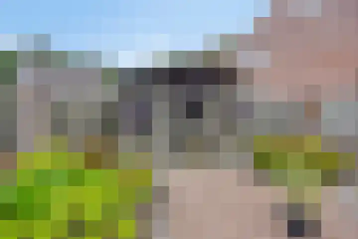 Tiendvrij 16 Sint Anthonis thumbnail 32