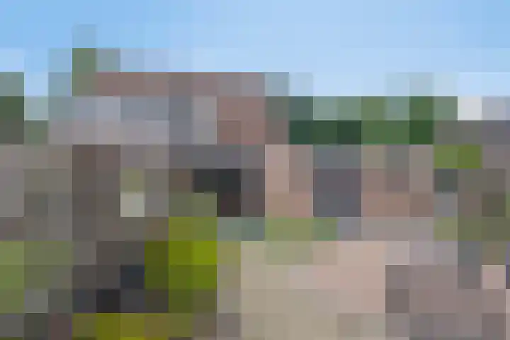 Tiendvrij 16 Sint Anthonis thumbnail 5