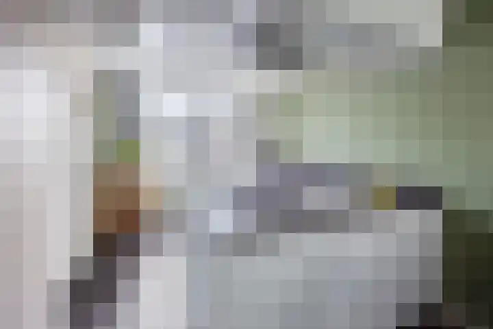 Tiendvrij 16 Sint Anthonis thumbnail 8