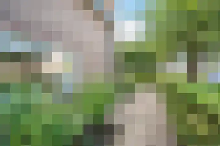 Tiendweg 117 Leerdam thumbnail 41