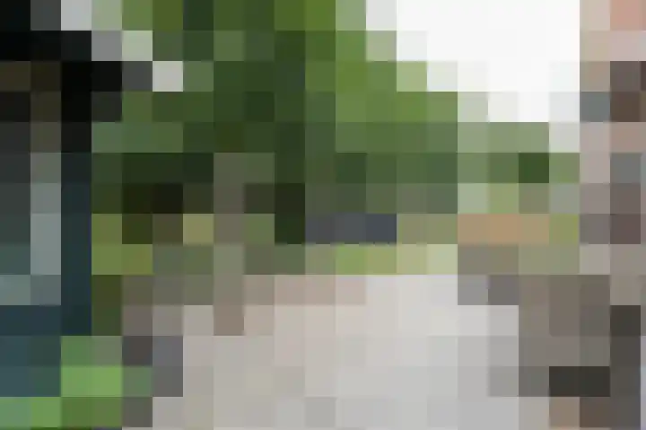 Tiendweg 117 Leerdam thumbnail 5