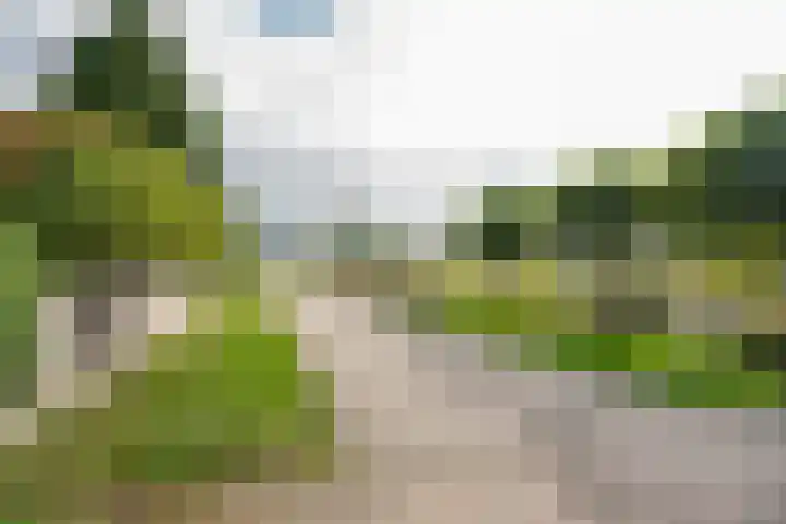 Tiendweg 117 Leerdam thumbnail 54