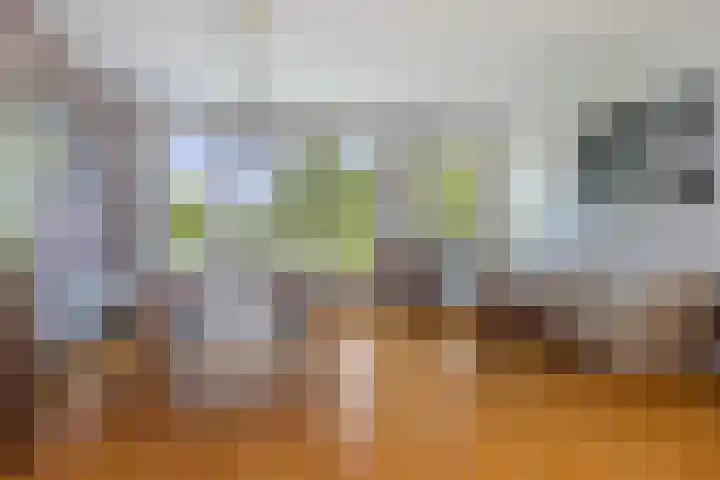 Tiendweg 12 Harmelen thumbnail 24