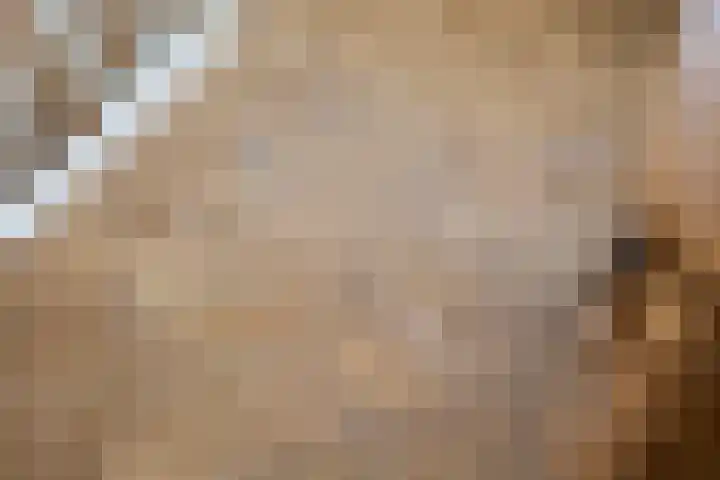 Tiendweg 12 Harmelen thumbnail 36