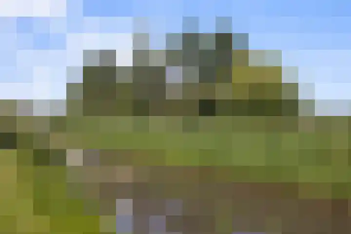 Tiendweg 12 Harmelen thumbnail 42