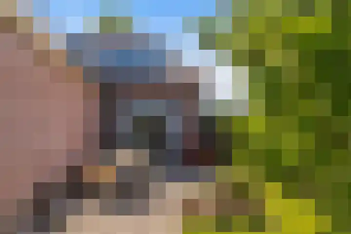 Tiendweg 12 Harmelen thumbnail 46