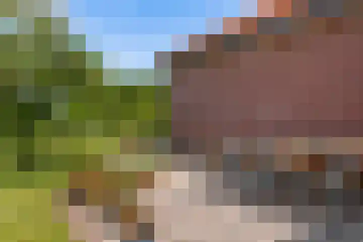 Tiendweg 12 Harmelen thumbnail 47