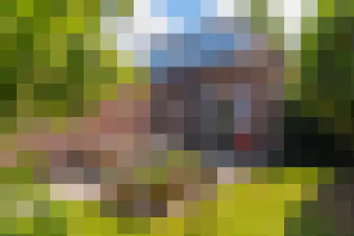 Tiendweg 12 Harmelen thumbnail 48