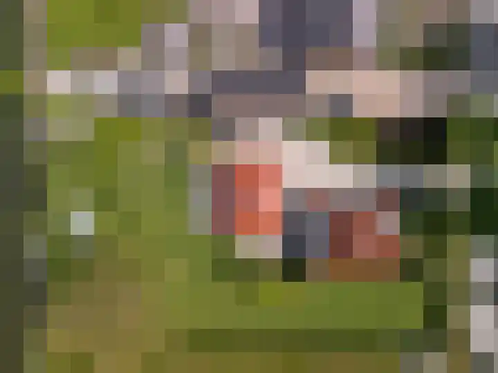 Tiendweg 12 Harmelen thumbnail 59