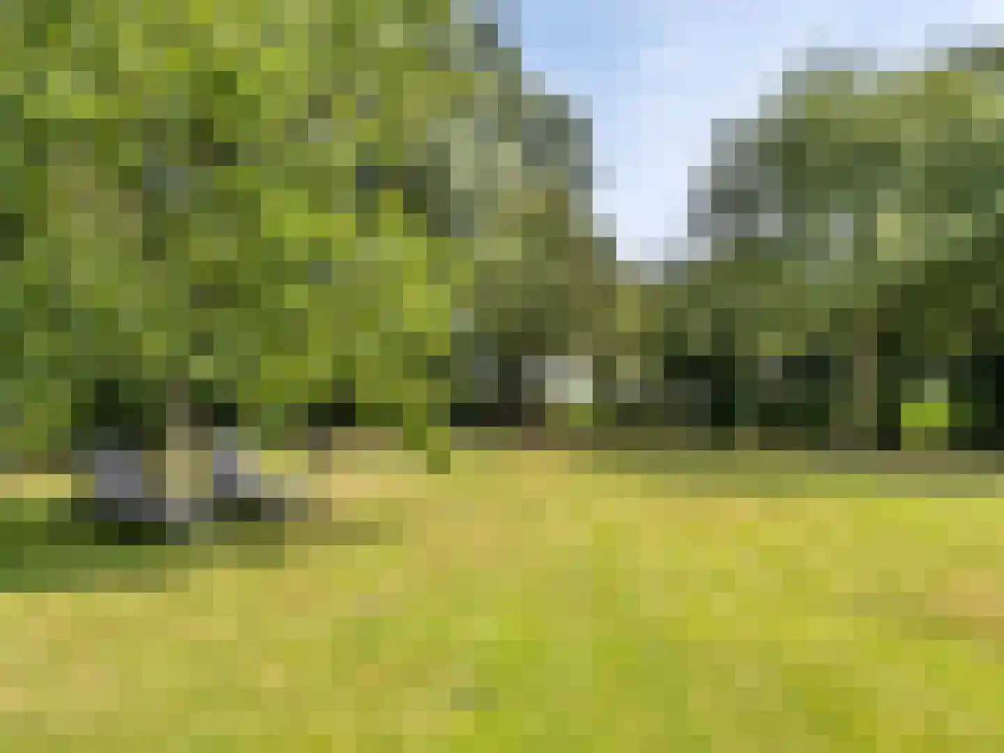 Tiendweg 2 A Bavel thumbnail 11